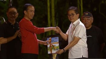 President Jokowi Receives The 2045 Golden Indonesia Roadmap Book From Kadin