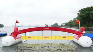 シンガポールで開催される2025年水泳世界選手権の大腸菌が延期