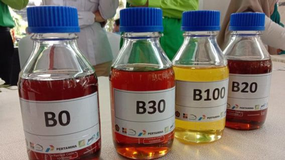 Realisasi Serapan Biodiesel hingga Juli 2022 Capai 4,9 Juta KL