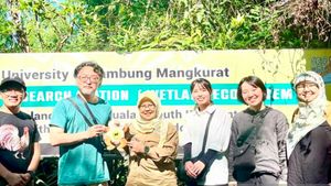 Peneliti Jepang Dukung Konservasi Bekantan di Pulau Curiak