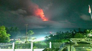 Gunung Lewotobi Naik NTT Berstatus Awas, 11 Warga Dulipali Dievakuasi Tim SAR