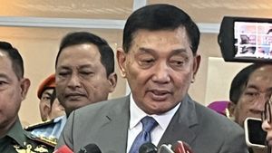 Bursa Capres 2029: Sjafrie Sjamsoeddin hingga Purbaya, Siapa Paling Potensial?