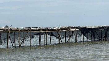 Siapa Pemilik Sertifikat di Kawasan Pagar Laut? Ini Penjelasan Nusron Wahid