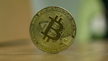 OJK Urges Young Investors Not To FOMO If They Want Crypto Investment