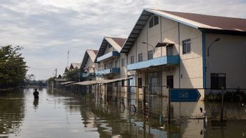 ロブ・フラッドの影響を受けた市長、スマラン海岸の企業に防潮堤の強化を要請