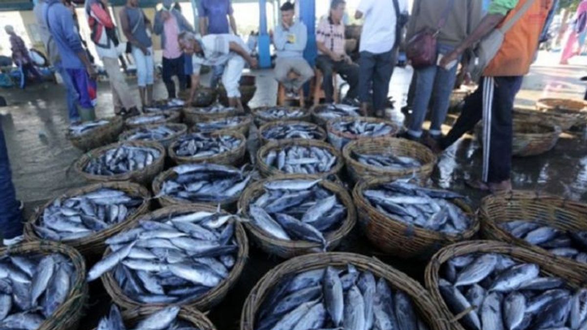 KKP的Sumedang地震受害者提供1.6吨鱼类援助:满足需求