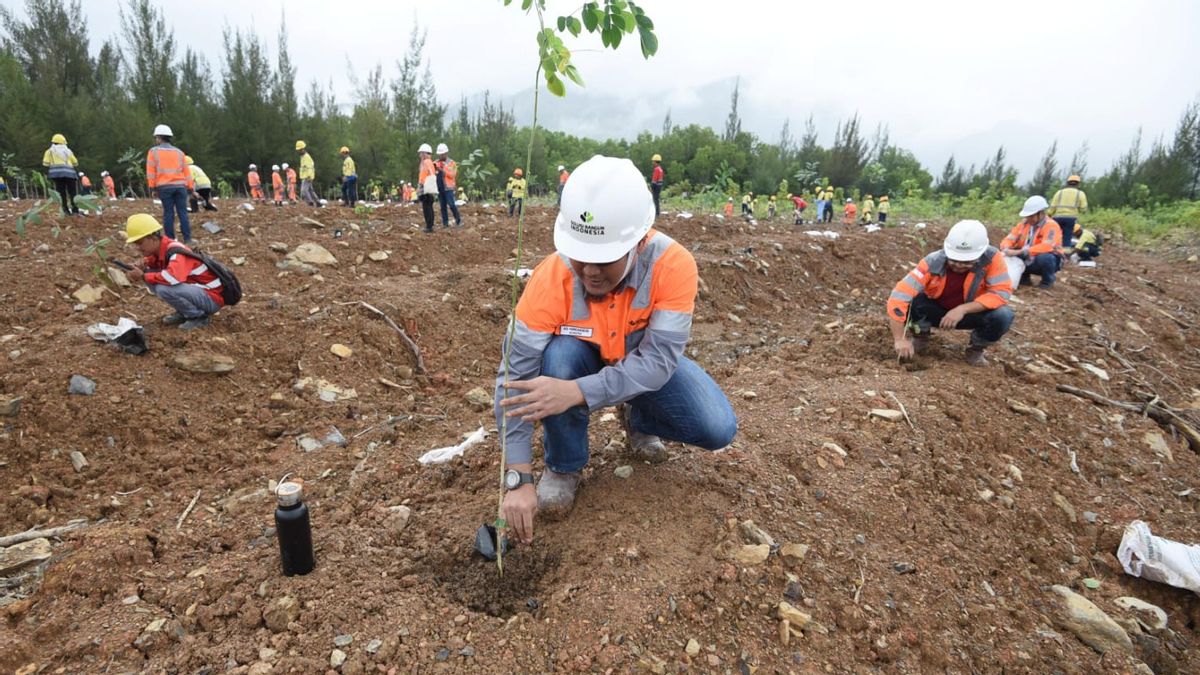 Upayakan Pemulihan Lahan Pascatambang, SIG Tanam 13.424 Batang Pohon untuk Perlindungan Keanekaragaman Hayati di Aceh