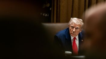 Trump Minta Putin Hentikan Serangan dan Desak Penyelesaian Kesepakatan Damai
