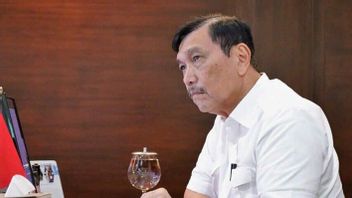 Luhut Admits Complaints From Several Countries Because Indonesia Is Impressed To Stay Away From Foreign Products