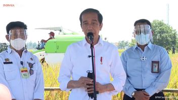 Jokowi: Le Gouvernement N’aime Pas Vraiment Les Importations De Riz