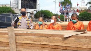 Diupah Rp150 Ribu Angkut Berton-ton Kayu <i>Illegal Logging</i>, 4 Orang Ini Ditangkap Polres Dumai Riau