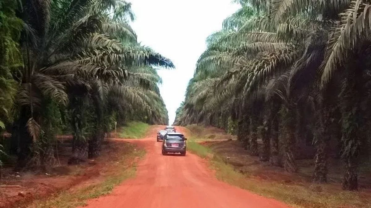 Peredaran Narkoba di Kalteng Mulai Masuk Pertambangan dan Perkebunan, BNNP Perketat Wilayah Perbatasan