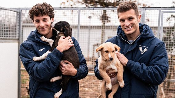 as - Les joueurs de Verona et de Milan emmènent un chien lorsqu’ils entrent sur le terrain