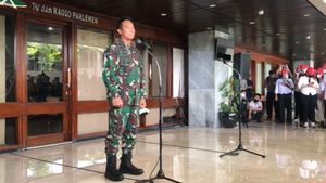 Direstui DPR jadi Panglima TNI, Jenderal Andika Perkasa Senyum Senang