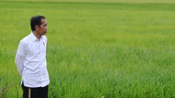 President Jokowi: The Government Is Trying To Maintain The Balance Of Food Commodity Prices