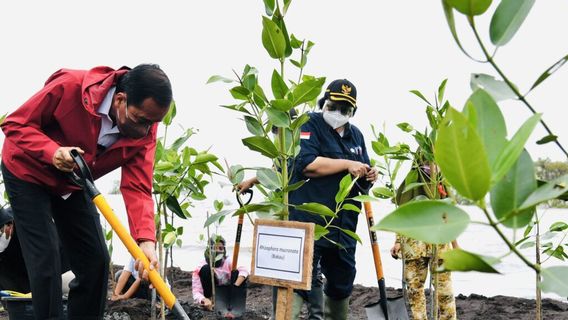 Ketika Negara Benar-benar Hadir di Pulau Bengkalis