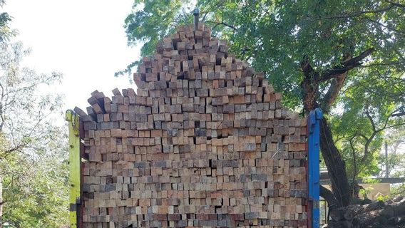 Kemenhut Sita 1.366 Batang Kayu Olahan Hasil Pembalakan Liar di TN Meru Betiri Jatim