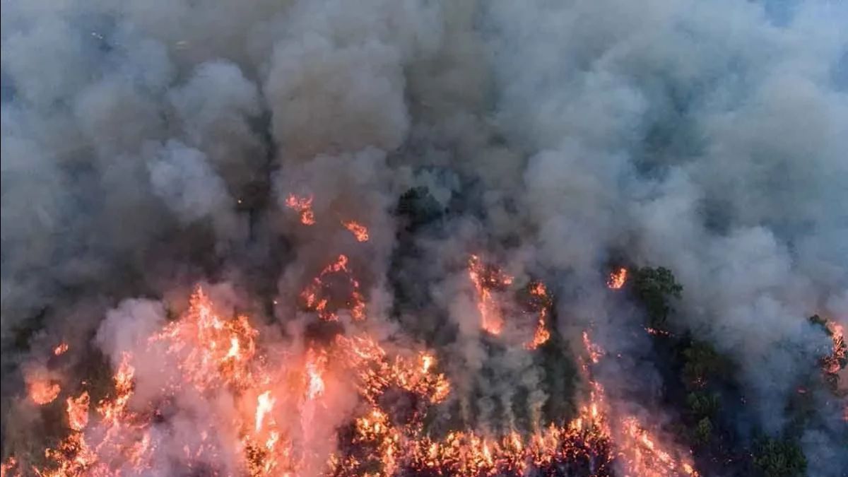 2024年の長期干ばつに直面して、OKUサムセルは森林と土地の火災に警戒する