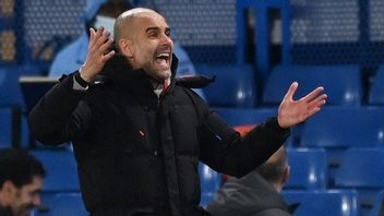 Ahead Of Man City Vs Brighton, Guardiola Spreads Praise On The Opposing Manager