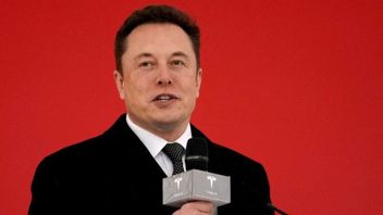 Elon Musk dan Donald Trump Saling Sindir di Media Sosial, CEO Tesla: 