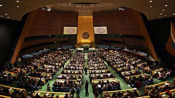 Receiving an International Award, President Jokowi Was Absent at the UN General Assembly