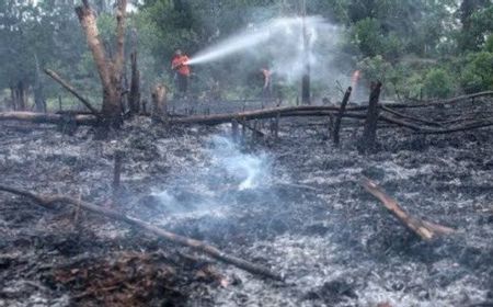 Di Tahun Poltik, Kasus Kebakaran Hutan Naik Demi Pencitraan Calon Kepala Daerah