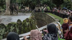 Tuduh Petugas Bawa Pulang Pakan Satwa Ragunan, Warganet Ini Minta Maaf 