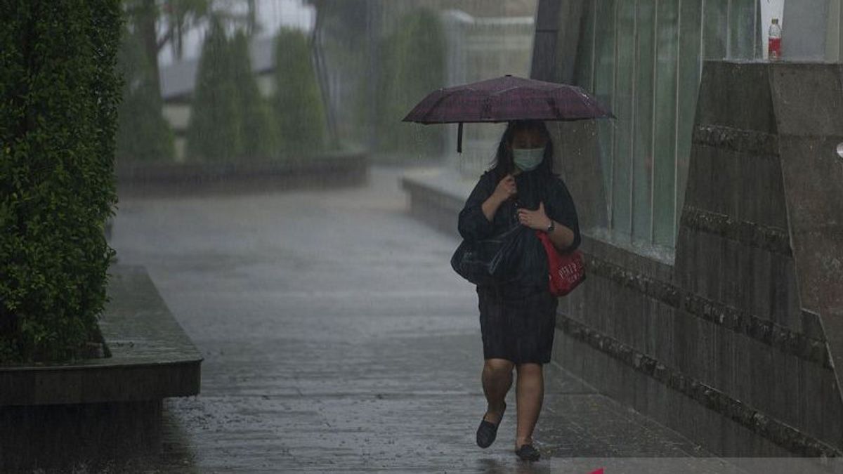 Siang Terik, Kamis Sore Sebagian Jakarta Diguyur Hujan