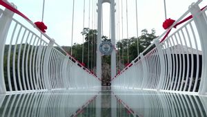 Dibuka April Lalu, Jembatan Kaca di Vietnam Ini Pecahkan Rekor Guinness World Records