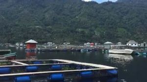 Kadar Oksigen Danau Ranau Mulai Normal, Kasus Kematian Massal Ikan Berkurang Drastis