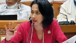 Anggota DPR Mengutuk Keras Pembunuhan Aktivis Perempuan Papua oleh KKB: Semakin Mengerikan!