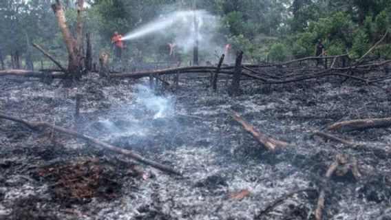 Karhutla di Kalsel Meluas, Kualitas Udara Semakin Mengkhawatirkan