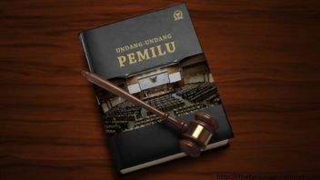 Hindari Kepentingan Politik, Pembahasan RUU Pemilu Harus melalui Pansus DPR