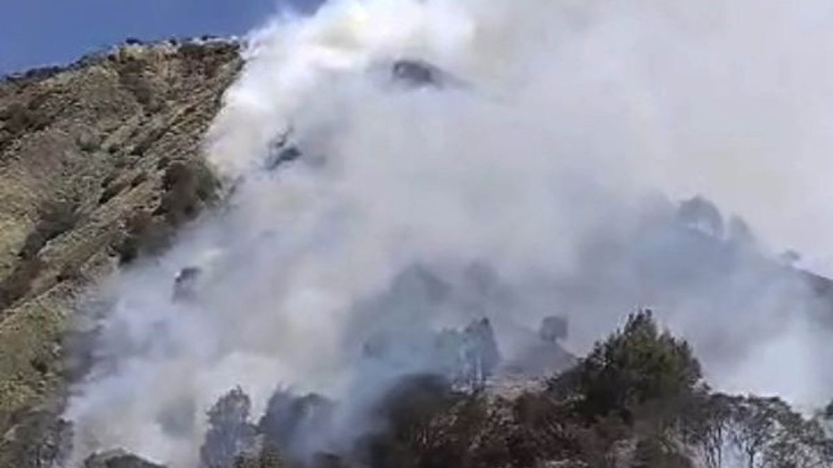 Pemadaman Api Karhutla Gunung Batok Terkendala Angin Kencang