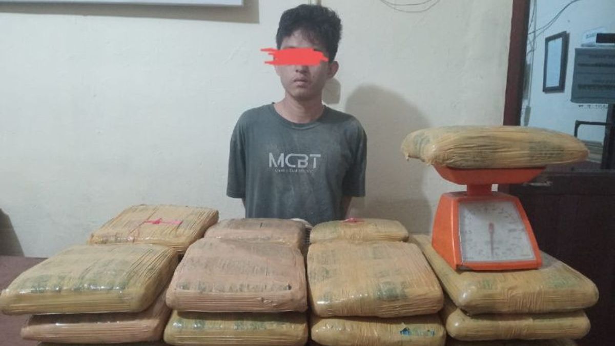35 Kg Cannabis Courier Arrested In Padangsidimpuan, North Sumatra, Supplier Escapes