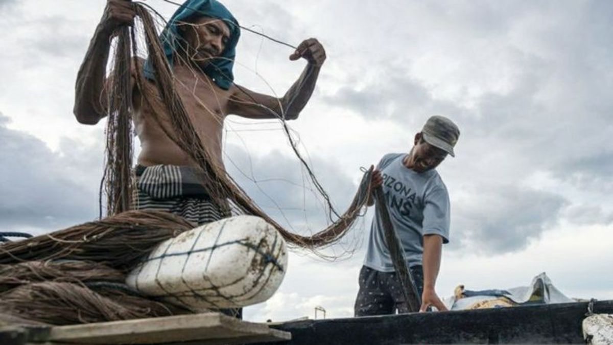    Miris, Saat Ketua KPK Beri Perhatian ke Nelayan Nyatanya DKP Ungkap 17.274 Rumah Tangga Nelayan Sulteng Hidup Miskin