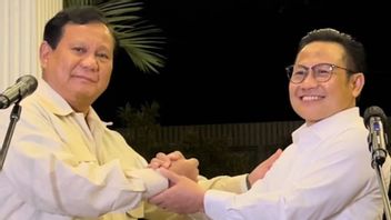 Gerindra: Posisi Hari Ini Prabowo Capres dan Cak Imin Cawapres, ke Depan Kita Tidak Tahu