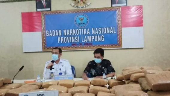 BNNP Canceled The Shipment Of 248,057 Kilograms Of Marijuana Controlled By Rajabasa Prison Inmates