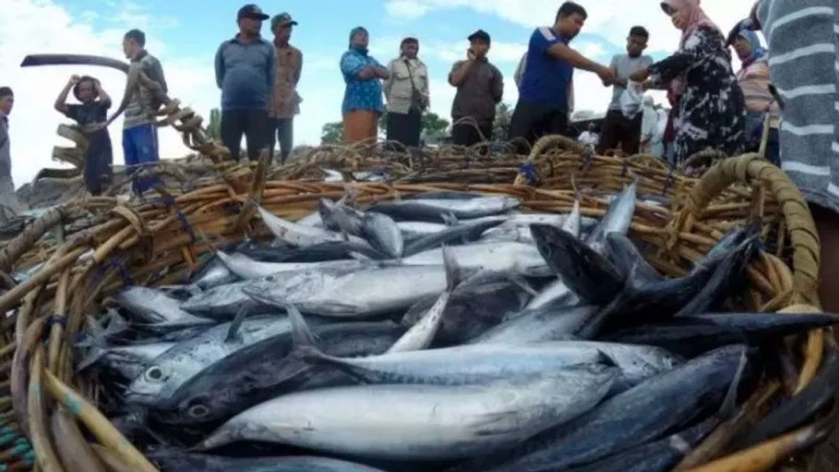Warta Yogyakarta, DKP DIY: Produksi Ikan Tangkap di DIY Meningkat