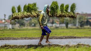 ワメンタン氏は、プラボウォ大統領がインドネシアの10の農産物を世界第1位にすることを目標にしていると述べた。