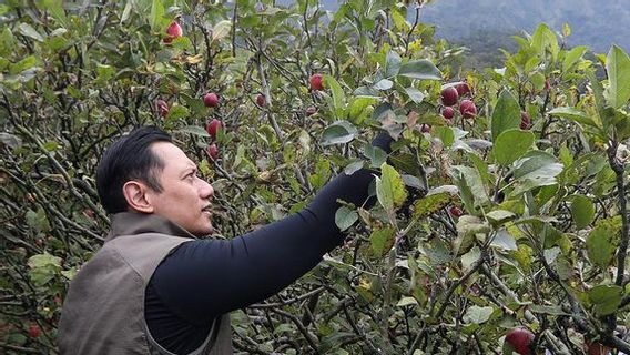 Demokrat Jawab Isu AHY Jadi Mentan di Kabinet Jokowi Usai Unggah 'Apel Malang'