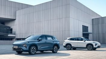 Wuling Resmi Luncurkan SUV Baru, Ada Versi BEV dan PHEV