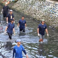 Pramono Minta Pembasmian Ikan Sapu-sapu Diperluas ke Seluruh Jakarta
