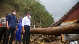 Menko PMK Muhadjir Effendy Sebut Bali Masih Berstatus Tanggap Darurat Usai Dilanda Gempa dan Longsor 