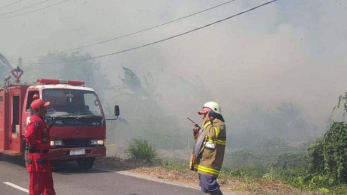 Damkar Belitung Padamkan Api yang Membakar Hutan Seluas 3 Hektare
