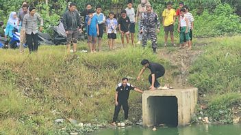 两个小学生在STTAL海军Kodamar综合体的后湖中被发现死亡