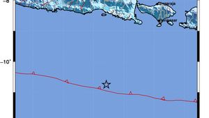 Gempa Berkekuatan M 6,2 Guncang Jember, Pusatnya Ada di Laut