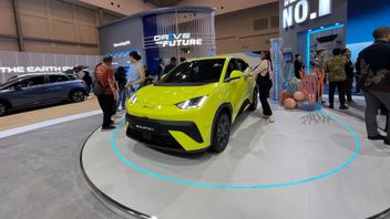 BYD Atto 1 Dapat Sambutan Positif, Ini Deretan Pilihan Aksesoris Menarik