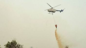 Kebakaran Hutan Meluas, Pemprov Riau Tambah Bantuan Helikopter
