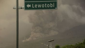 The Eruption Of Mount Lewotobi Has Not Sloped, The Flores KPU Prepares A Scenario For The Relocation Of Polling TPS
